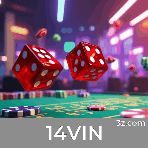 14VIN: Experiência de Jogo Segura e Profissional