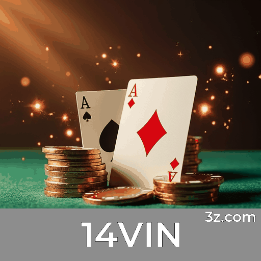 14VIN: Cassino Online Seguro e Divertido