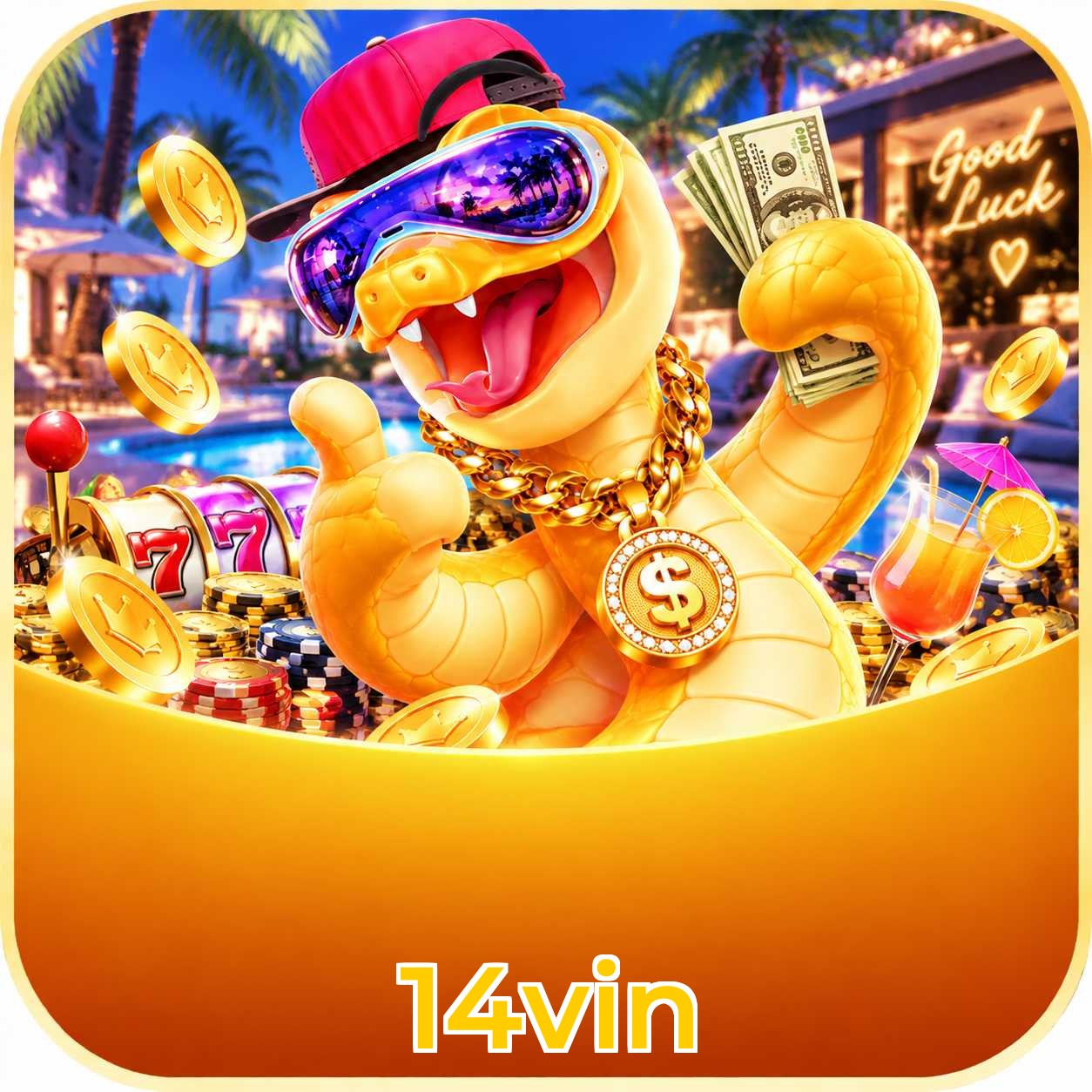 14vin App FAQ